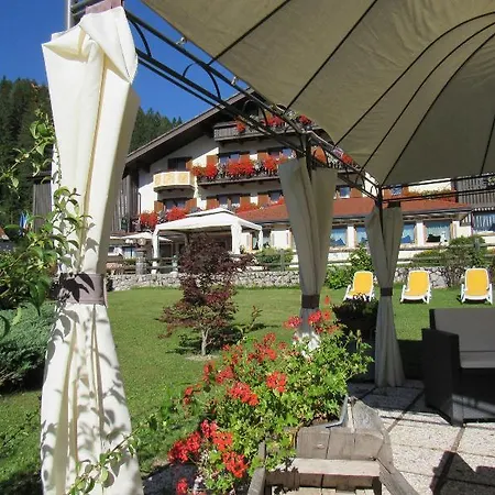 Park Arnica 4*